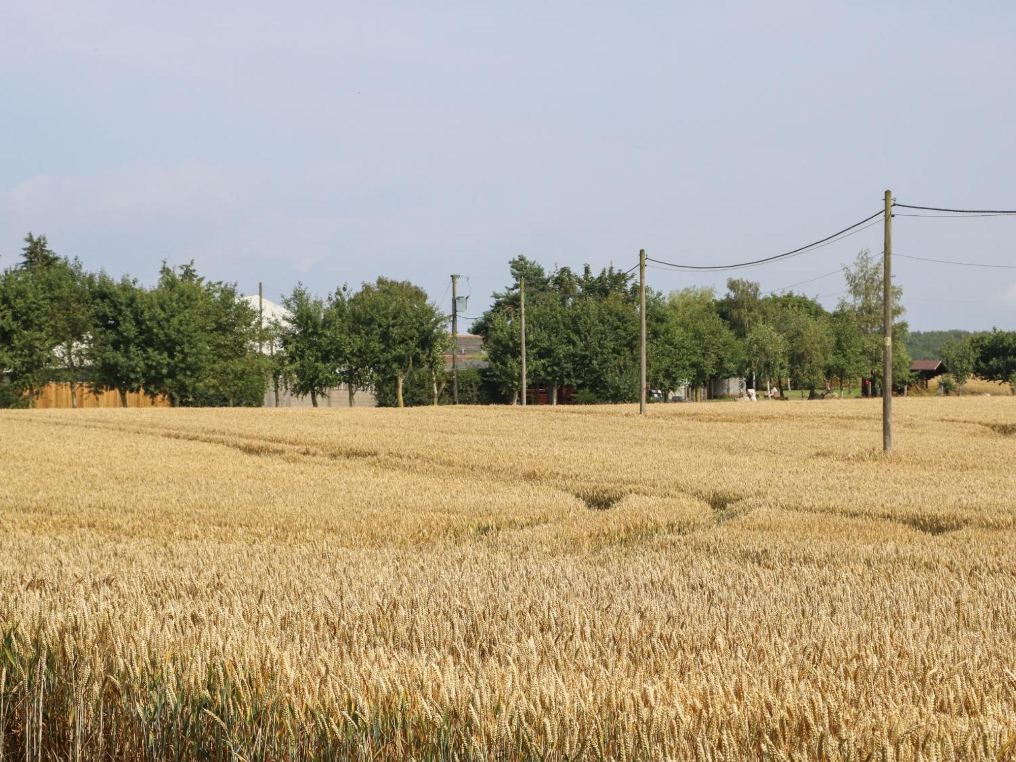 Cornfield Villa นอร์ทอัลเลอร์ทัน ภายนอก รูปภาพ